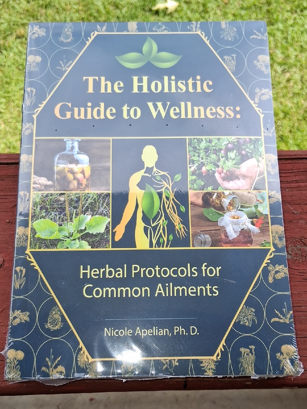 The Holistic Guide to Wellness : Herbal Protocols for Common Ailments* SEALED *